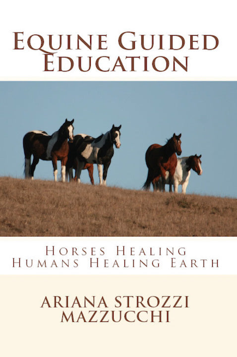 Equine Guided Education, Horses Healing Humans Healing Earth