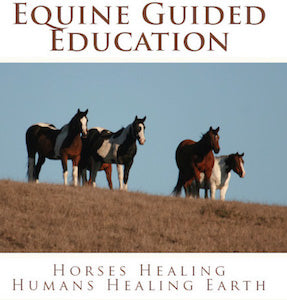 Equine Guided Education: Horses Healing Humans Healing Earth